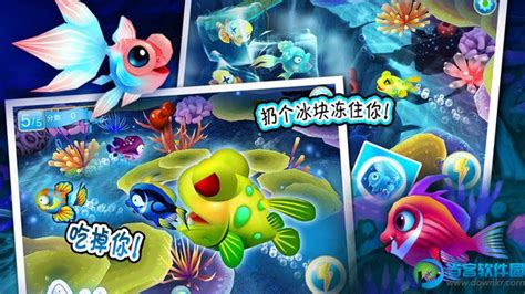 2022耐玩的大鱼吃小鱼游戏单机版 单机大鱼吃小鱼类的游戏介绍_九游手机游戏