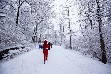 雪景图图片
