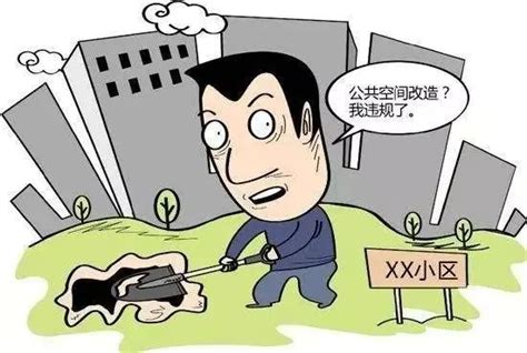 侵占公共绿地还是正常别墅区改造？ 南平一小区业主圈地惹争议