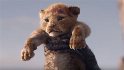 2019年真人版动画《狮子王The Lion King》BD国粤英三语双字1080p百度网盘分享下载 - 爱贝亲子网