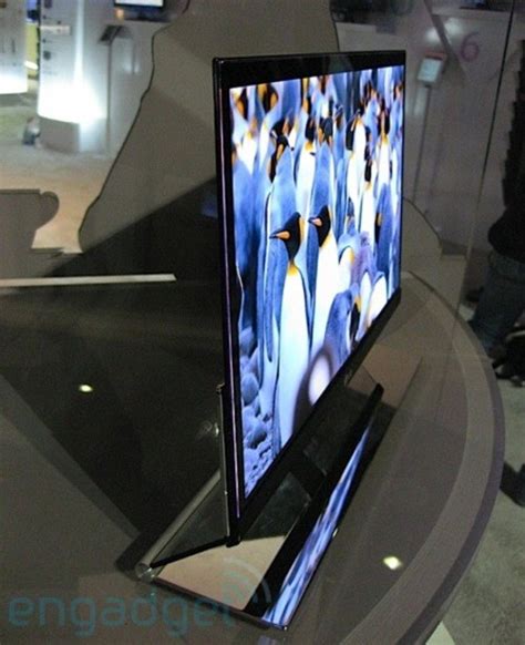 高清+超薄 LG新款OLED显示器年底开卖_LG液晶显示器_液晶显示器新闻-中关村在线