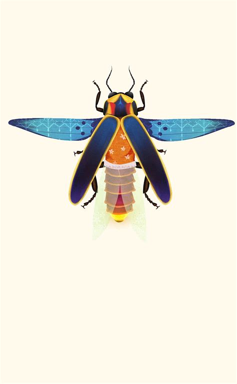 手绘卡通夏天萤火虫昆虫动物素材免费下载 - 觅知网