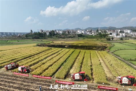 【二十大时光】惠水：党建引领， 农机队伍成农业生产“好助手”