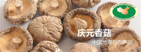 新行程——丽水市-庆元县城-庆元香菇博物馆