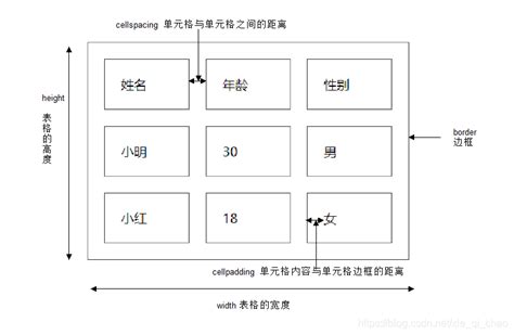 web表格设计解析_小龙哈-站酷ZCOOL