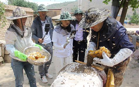 会宁县网络主播志愿者在网上直播销售土蜂蜜—甘肃经济日报—甘肃经济网