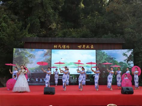 第16届林风娇图片
