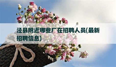 2022年就业援助“暖心活动”就业招聘日招聘会-泾县人民政府