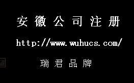 芜湖市企业服务联盟成立--松江报