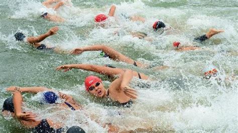 厉害了 中南林涉外学子在湖南省大学生游泳比赛中喜获佳绩