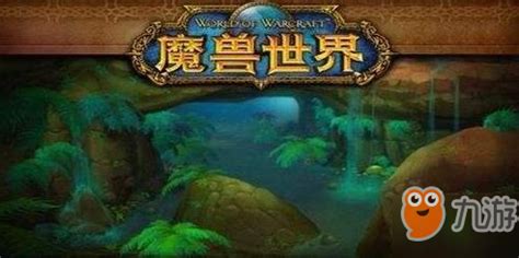 Wonzniak 的图像结果