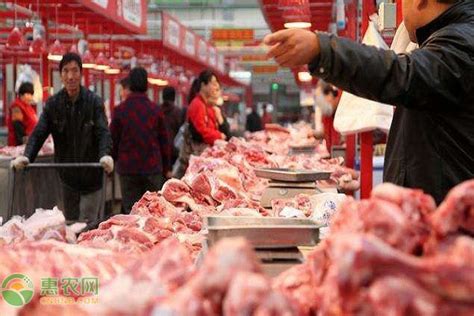2022五一前后猪肉最新价格多少钱一斤？ - 惠农网触屏版