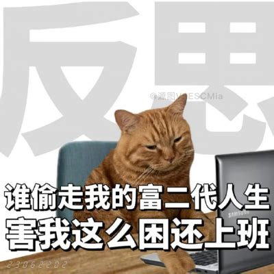 反思表情包图片