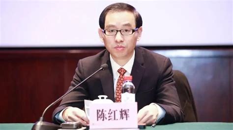 武汉卫健委党委第一书记陈红辉拟提名副市长人选_凤凰网