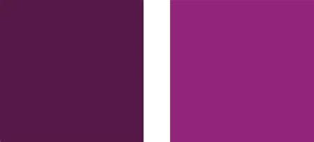 紫色配什么色好看 紫色配啥好看(2)_配图网