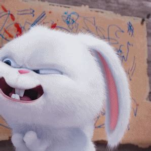 兔子小白表情包[可爱兔子表情包]-爱表情