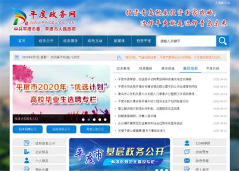 济南市政务服务网网上申报操作流程说明_95商服网