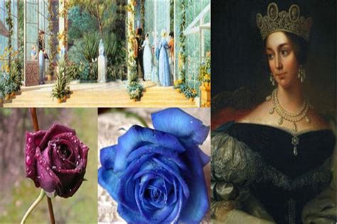 路易十四玫瑰怎么种植-芭乐女人网