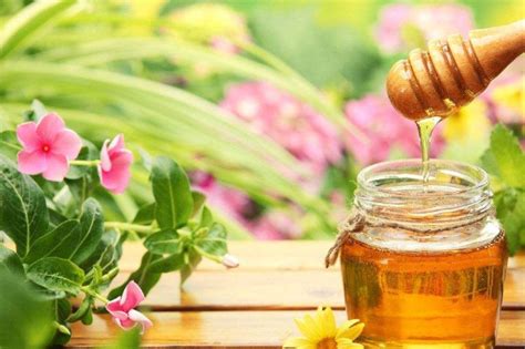 天然蜂蜜的3大特点都不知道，你还想买到好蜜？