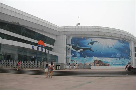 北京海洋馆门票,北京海洋馆门票预订,北京海洋馆门票价格,去哪儿网门票
