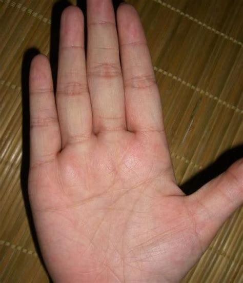 女生手掌纹路图解图片 女生手掌纹路图解图片