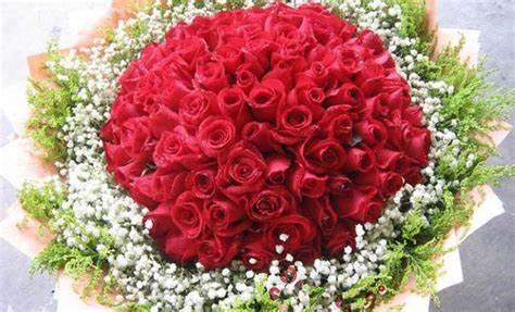 红玫瑰支数代表的含义(七夕将至，玫瑰颜色和支数有讲究) - 【爱喜匠】