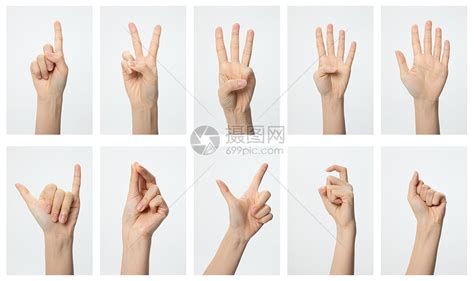 手势表示数字1图片_其 他_编号10967069_红动中国