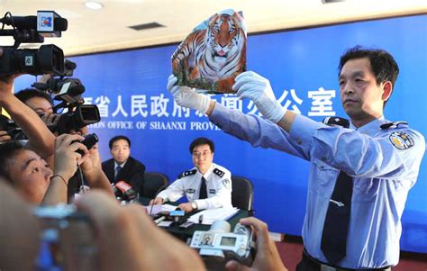 图文：警方展示周正龙拍照用的老虎画_新闻中心_新浪网
