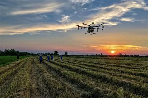 无人机让农民们的春耕生产更加高效、便捷、省工、省力_智慧农业-农博士农先锋网