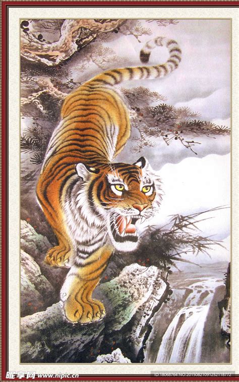 下山虎图片
