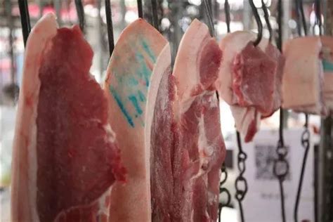 买猪肉时，盖红章的肉和盖蓝章的肉哪种好？老板为你解答，涨知识_印章