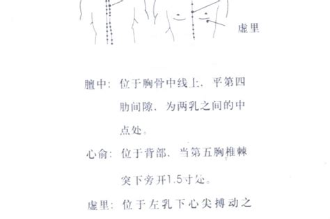 虚里的准确位置图图片 虚里的准确位置图图片