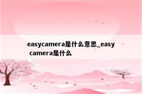 camera是什么意思中文 camera的短语搭配_知秀网