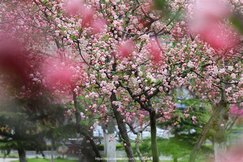 【江苏教育发布】#今日，立春# 春暖花开，奔赴美好！