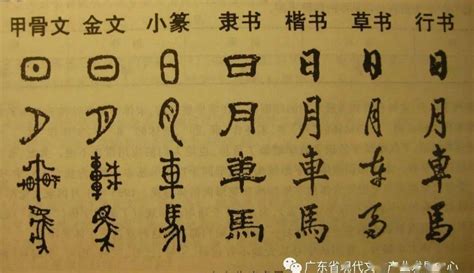 汉字文化圈及中华元素 - 漢文化 - 通識