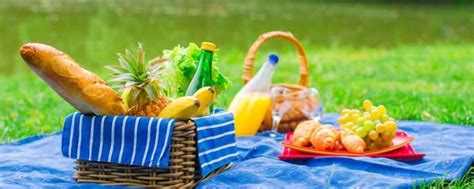 野餐必备食物物品清单（带上十种食物，实用又美味） | WE生活