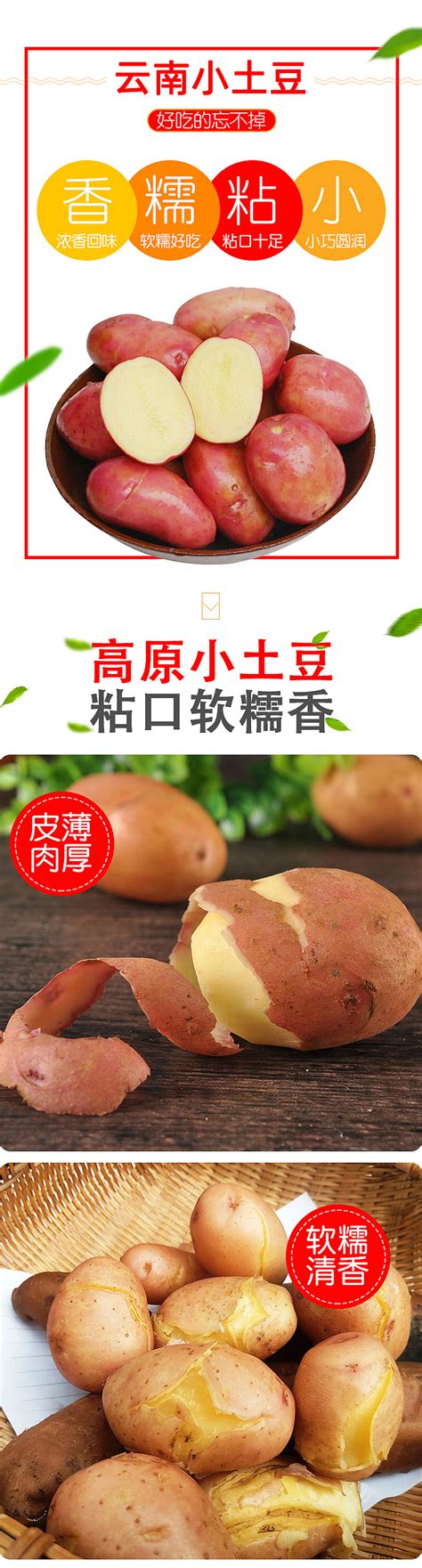 新鲜土豆_正版商业图片_昵图网nipic.com