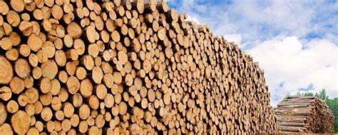 一方木材是多少 - 业百科