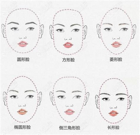 扫一扫测脸型配眉形,各脸型适合的眉型,一键测眉形_大山谷图库