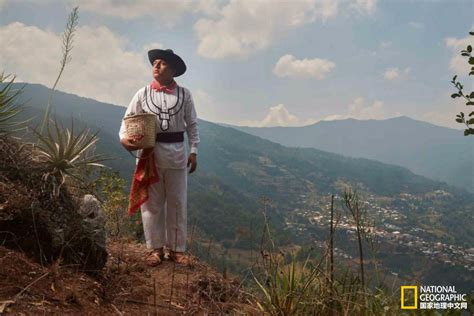 《墨西哥往事》-高清电影-完整版在线观看