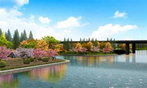2020年，这里的河岸将呈现“十里桃花”…… - 江苏各地 - 中国网•东海资讯
