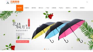 瑞安网络公司_瑞安网站优化推广_瑞安市诚信网络科技有限公司