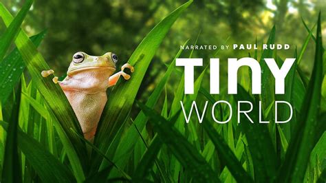 《Tiny World小小世界》第一季6集大自然科普纪录片 百度云网盘下载 – 铅笔钥匙