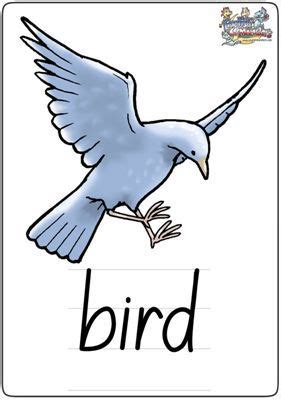 关于鸟的英文ppt_word文档在线阅读与下载_免费文档