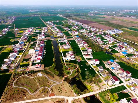 灌南县举办2023年园林绿化修剪技能大赛_工作动态_灌南县自然资源和规划局