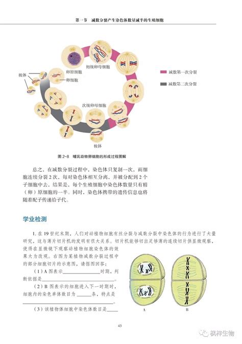 高中生物课本pdf-爱学网