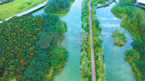 成都三圣乡白鹭湾湿地公园高清4K航拍_3840X2160_高清视频素材下载(编号:4760564)_实拍视频_VJ师网 www.vjshi.com