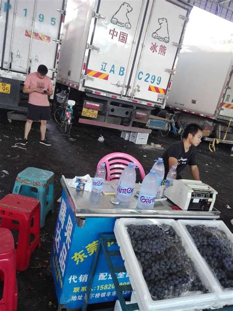 广州江南市场进口水果均价表：第36周（8.29 – 9.4） | 国际果蔬报道