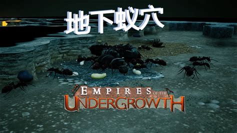 地下蚁国 Empires of the Undergrowth for mac_科米苹果Mac游戏软件分享平台