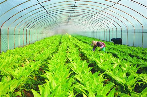 厚植农业综合开发优势引领广东农业现代化